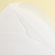 White 2-Pay 24lb Envelope [2-1/2x4-1/4] 500/box