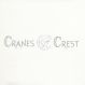 Crane's Crest Fluor White Cover 8-1/2x11 110lb 125/pkg